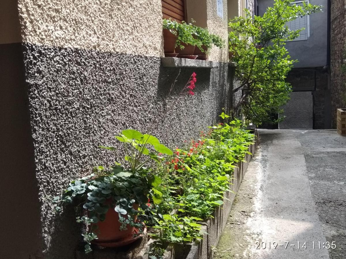 Casa Julio Βίλα Torla Εξωτερικό φωτογραφία